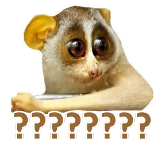 😳 559b1381 ????????? はてなマーク, ロリス, 混乱, 動物, かわいい, ステッカー telegram sticker