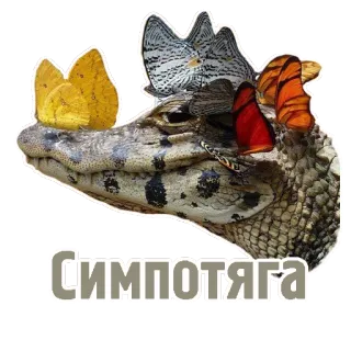 😏 8acbee8b Симпотяга ワニ, 蝶, 爬虫類, かわいい, 動物, 野生動物 telegram sticker