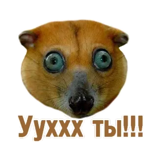 TCA telegram stickers