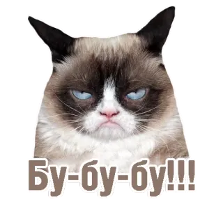 😐 cde27565 Grumpy Cat Бу-бу-бу!!! 猫, 不機嫌, ミーム, ロシア, ステッカー, 面白い telegram sticker