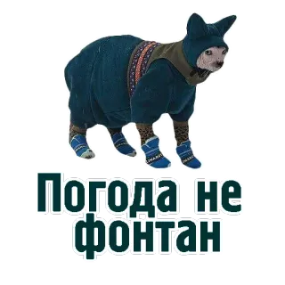 TCA telegram stickers