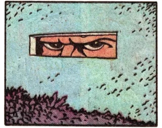 👀 b61301ac Ninja, Yeux, Furtif, Arts Martiaux, Masque telegram sticker