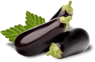 Comidas & bebidas whatsapp stickers