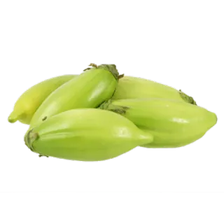 🌶 5f9b262e vegetal, abóbora, produtos, comida, verde telegram sticker