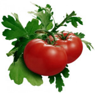 Comidas & bebidas telegram stickers