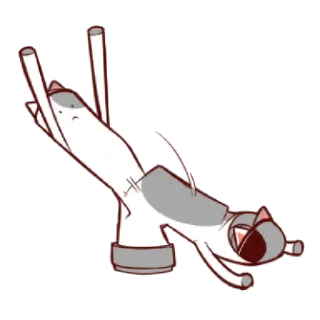 🐾 1af416b1 猫, 動物, 面白い, 可愛い telegram sticker