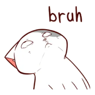 🙄 eddf7468 bruh 猫, ミーム, ブル, 面白い, 動物 telegram sticker