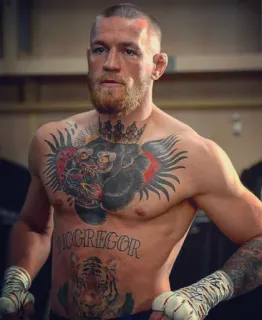 👑 76f4e7f9 Conor McGregor MCGREGOR Conor McGregor, MMA, นักสู้, รอยสัก, มวย, UFC, ไอริช, กีฬา telegram sticker