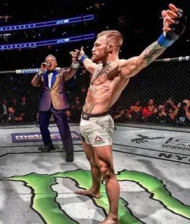 👑 b25c845a Conor McGregor UFC, MMA, ต่อสู้, กีฬา, นักสู้, Conor McGregor telegram sticker