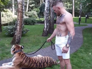 Kanalimiz 👉🏻 @ConorTv whatsapp stickers