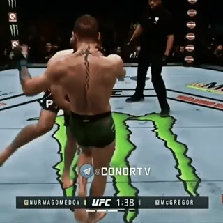 🦁 5e0f340b UFC @CONORTV UFC, combat, sports, sports de combat, MMA telegram sticker