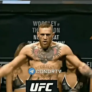 🦁 905c94dc Conor McGregor CONORTV Conor McGregor, UFC, MMA, combat telegram sticker