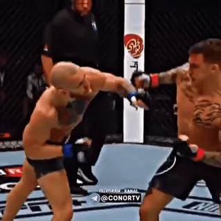 🦁 d99ace29 @CONORTV MMA, combat, sports, UFC telegram sticker