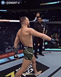 🦁 ef291382 Conor McGregor MMA, UFC, combattant, sport, combat telegram sticker