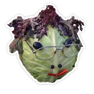 🥗 0438855c kohl, gemüse, essen, gesicht, brille, kunst, lustig, kreativ telegram sticker