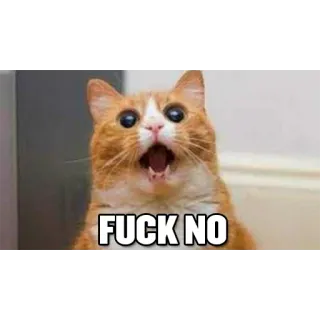 Funny Cats whatsapp stickers