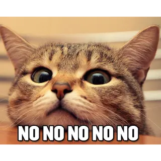 🤦 7854b5bc NO NO NO NO NO NO kucing, meme, tidak telegram sticker