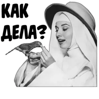 😊 117a00d2 КАК ДЕЛА? แม่ชี, นก, คำถาม, รัสเซีย, ขาวดำ telegram sticker