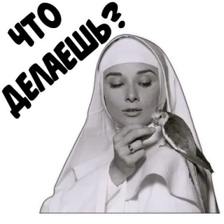 coolnuns whatsapp stickers