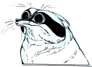 😨 1df6f023 енот, животное, мультфильм, мем, смешной telegram sticker