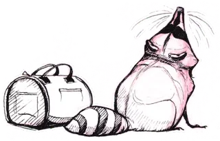 ✈ e60144df енот, животное, дорожная сумка, мультфильм, эскиз, милый telegram sticker