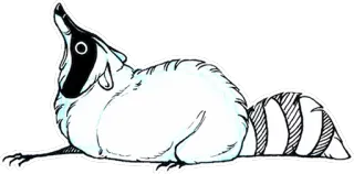 ❗ eb911662 енот, животное, мультфильм, стикер telegram sticker