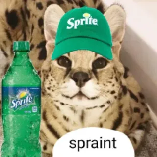 🥒 06b982a9 spraint mèo, Sprite, nước giải khát, soda, meme, hài hước telegram sticker