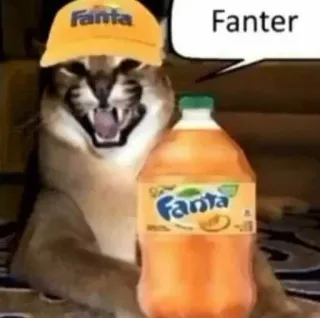 🍊 0b8af0ce Fanter mèo, Fanta, mũ, soda, meme, thức uống telegram sticker