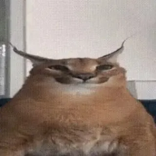 Сервал+Шлёпа :: @fStikBot telegram stickers