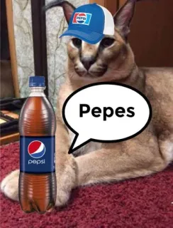 🫐 b1ec1b9e Pepes mèo, pepsi, mũ, đồ uống, meme, động vật, pepes telegram sticker