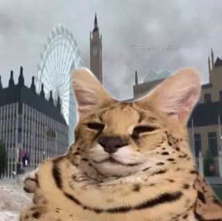 🇬🇧 be55980f telegram sticker