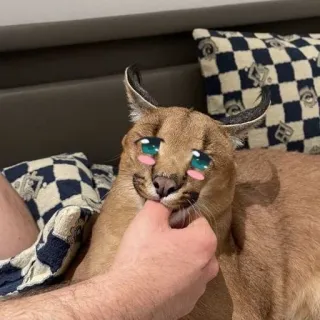 Сервал+Шлёпа :: @fStikBot telegram stickers