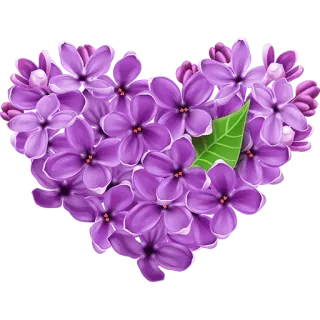 ❤️ d4e87981 Blume, Herz, Blumenmuster, Flieder, Lila telegram sticker