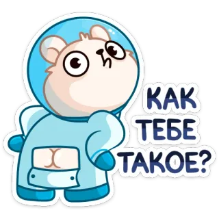 🍑 0ae98c79 КАК ТЕБЕ ТАКОЕ? chomik, astronauta, pytanie, słodki, kosmos, rosyjski telegram sticker