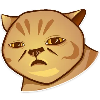 ☹️ 0ef8b75d 고양이, 밈, 웃긴, 이모지, 스티커 telegram sticker