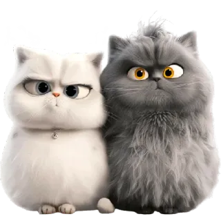 🤨 1d361ab7 Katze, flauschig, Tiere, Haustiere, süß, häuslich telegram sticker