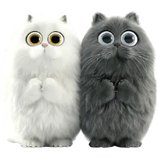 😳 b622fc52 Katze, süß, flauschig, Tier, Haustier, Kätzchen telegram sticker