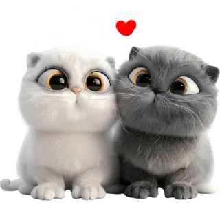 😍 f6a2267e فدواتي Katze, Kätzchen, süß, Haustier, Tier, entzückend, kawaii, Liebe telegram sticker