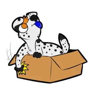 📦 f96433a7 dog, box, dalmatian, cartoon, sticker, animal, cute telegram sticker