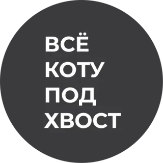 💩 d2e86a32 ВСЁ КОТУ ПОД ХВОСТ 고양이, 러시아어, 관용구, 실패 telegram sticker