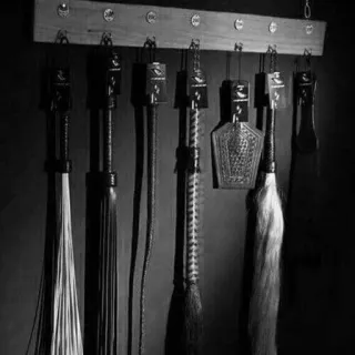 🕳 ed7ac7de 鞭子, 皮革, 束缚, 管教, 性, 玩具 telegram sticker