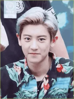 | @coyote_pcyᝬ whatsapp stickers