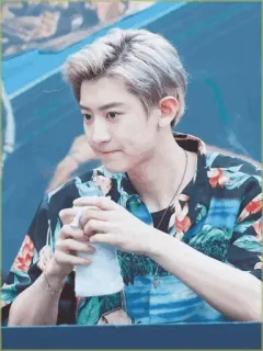 | @coyote_pcyᝬ telegram stickers