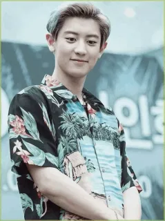 💮 efc51229 telegram sticker