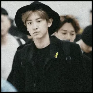 🗞 cdf38c8e whatsapp sticker