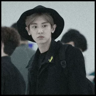 🗞 d1e17026 whatsapp sticker