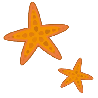 ❤ a2124df6 estrela do mar, mar, oceano, animal, laranja telegram sticker