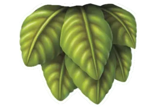 🍃 d014eb41 叶子, 绿色, 植物, 树叶 telegram sticker