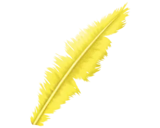 💛 d4072b14 羽毛, 黄色, 鸟, 书写, 光, 柔软 telegram sticker