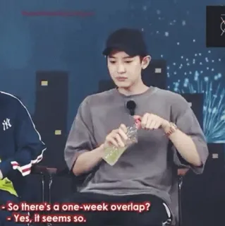 💿 46410008 So there's a one-week overlap?
- Yes, it seems so. telegram sticker